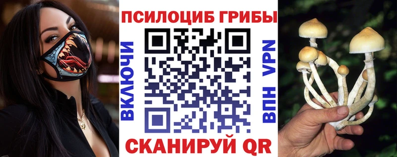 Псилоцибиновые грибы ЛСД  Жиздра 