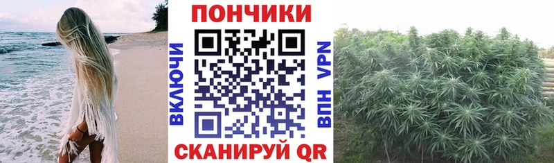 Канабис LSD WEED Жиздра